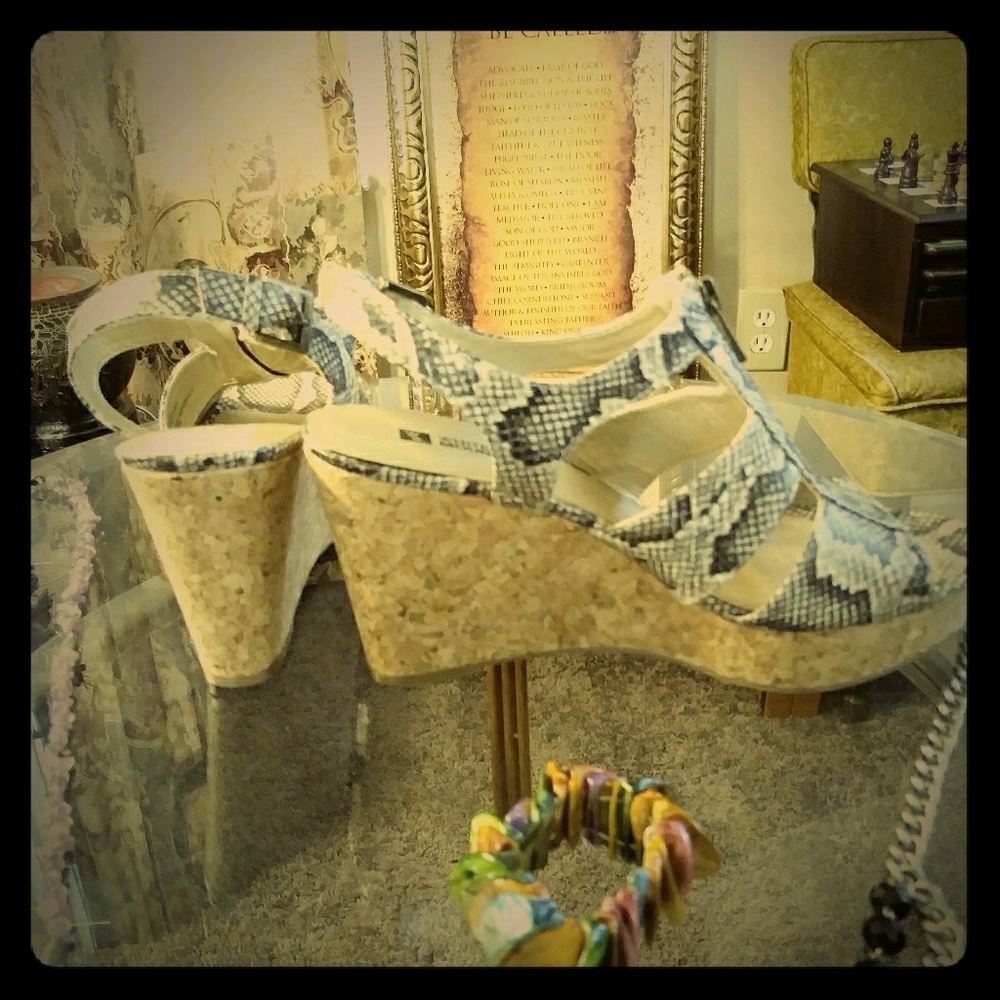 White Mountain Dharma Wedges